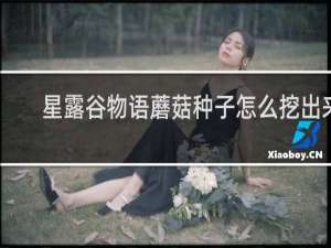 星露谷物语蘑菇种子怎么挖出来