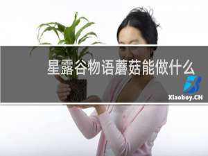 星露谷物语蘑菇能做什么