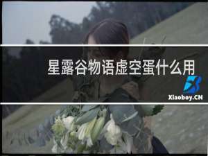 星露谷物语虚空蛋什么用