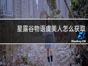 星露谷物语虞美人怎么获取