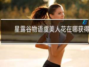 星露谷物语虞美人花在哪获得