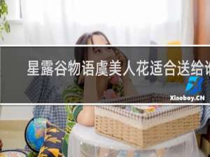 星露谷物语虞美人花适合送给谁