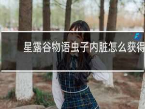星露谷物语虫子内脏怎么获得