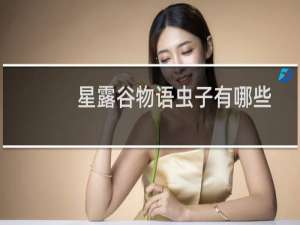 星露谷物语虫子有哪些