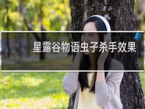 星露谷物语虫子杀手效果