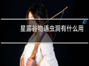 星露谷物语虫洞有什么用