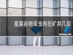 星露谷物语虫肉在矿井几层