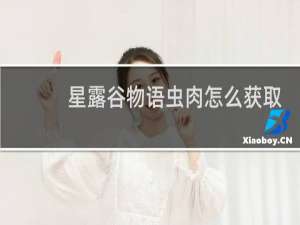 星露谷物语虫肉怎么获取