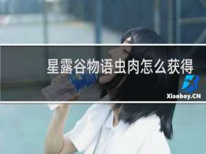 星露谷物语虫肉怎么获得