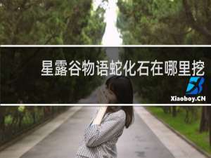 星露谷物语蛇化石在哪里挖