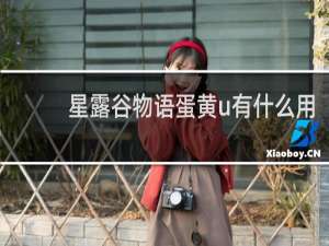 星露谷物语蛋黄u有什么用