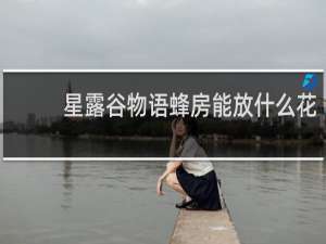 星露谷物语蜂房能放什么花