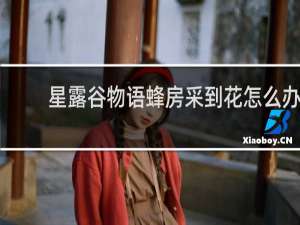 星露谷物语蜂房采到花怎么办