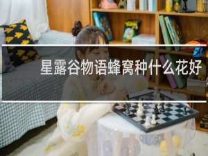 星露谷物语蜂窝种什么花好