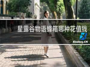 星露谷物语蜂箱哪种花值钱