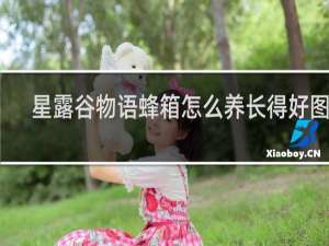 星露谷物语蜂箱怎么养长得好图文