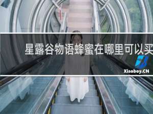 星露谷物语蜂蜜在哪里可以买