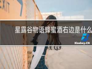 星露谷物语蜂蜜酒右边是什么