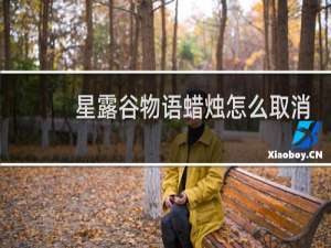 星露谷物语蜡烛怎么取消
