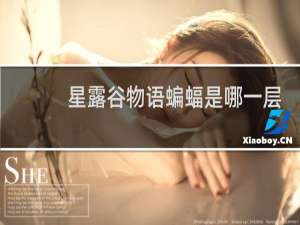 星露谷物语蝙蝠是哪一层