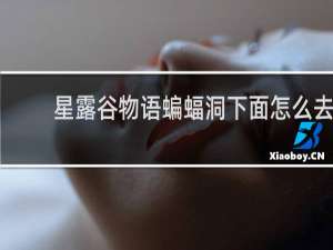 星露谷物语蝙蝠洞下面怎么去