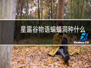 星露谷物语蝙蝠洞种什么