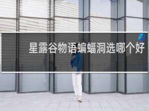 星露谷物语蝙蝠洞选哪个好