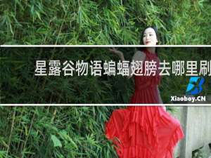 星露谷物语蝙蝠翅膀去哪里刷