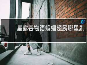 星露谷物语蝙蝠翅膀哪里刷