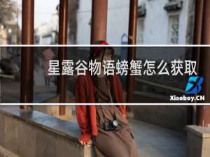 星露谷物语螃蟹怎么获取