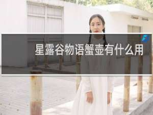 星露谷物语蟹壶有什么用