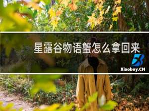 星露谷物语蟹怎么拿回来