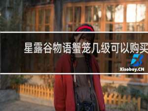 星露谷物语蟹笼几级可以购买