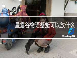 星露谷物语蟹笼可以放什么