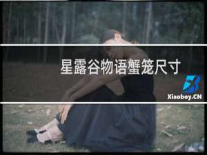 星露谷物语蟹笼尺寸