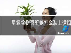 星露谷物语蟹笼怎么装上诱饵