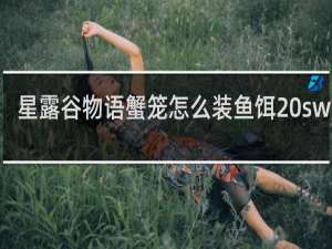 星露谷物语蟹笼怎么装鱼饵 switch