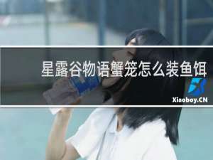 星露谷物语蟹笼怎么装鱼饵