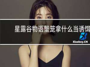星露谷物语蟹笼拿什么当诱饵