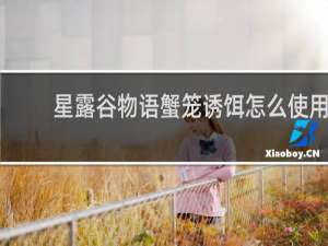 星露谷物语蟹笼诱饵怎么使用