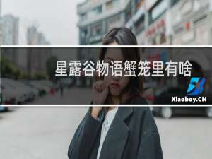 星露谷物语蟹笼里有啥