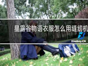 星露谷物语衣服怎么用缝纫机