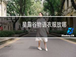 星露谷物语衣服放哪