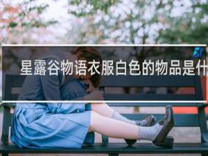 星露谷物语衣服白色的物品是什么