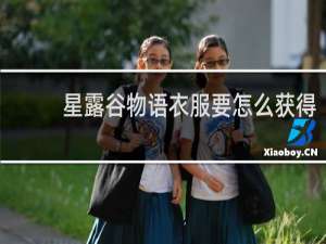 星露谷物语衣服要怎么获得