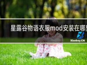 星露谷物语衣服mod安装在哪里