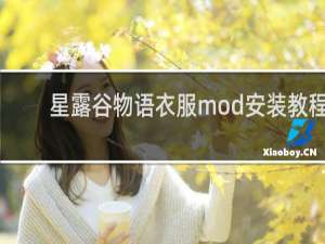 星露谷物语衣服mod安装教程