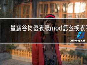 星露谷物语衣服mod怎么换衣服
