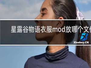 星露谷物语衣服mod放哪个文件