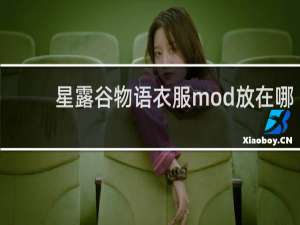 星露谷物语衣服mod放在哪